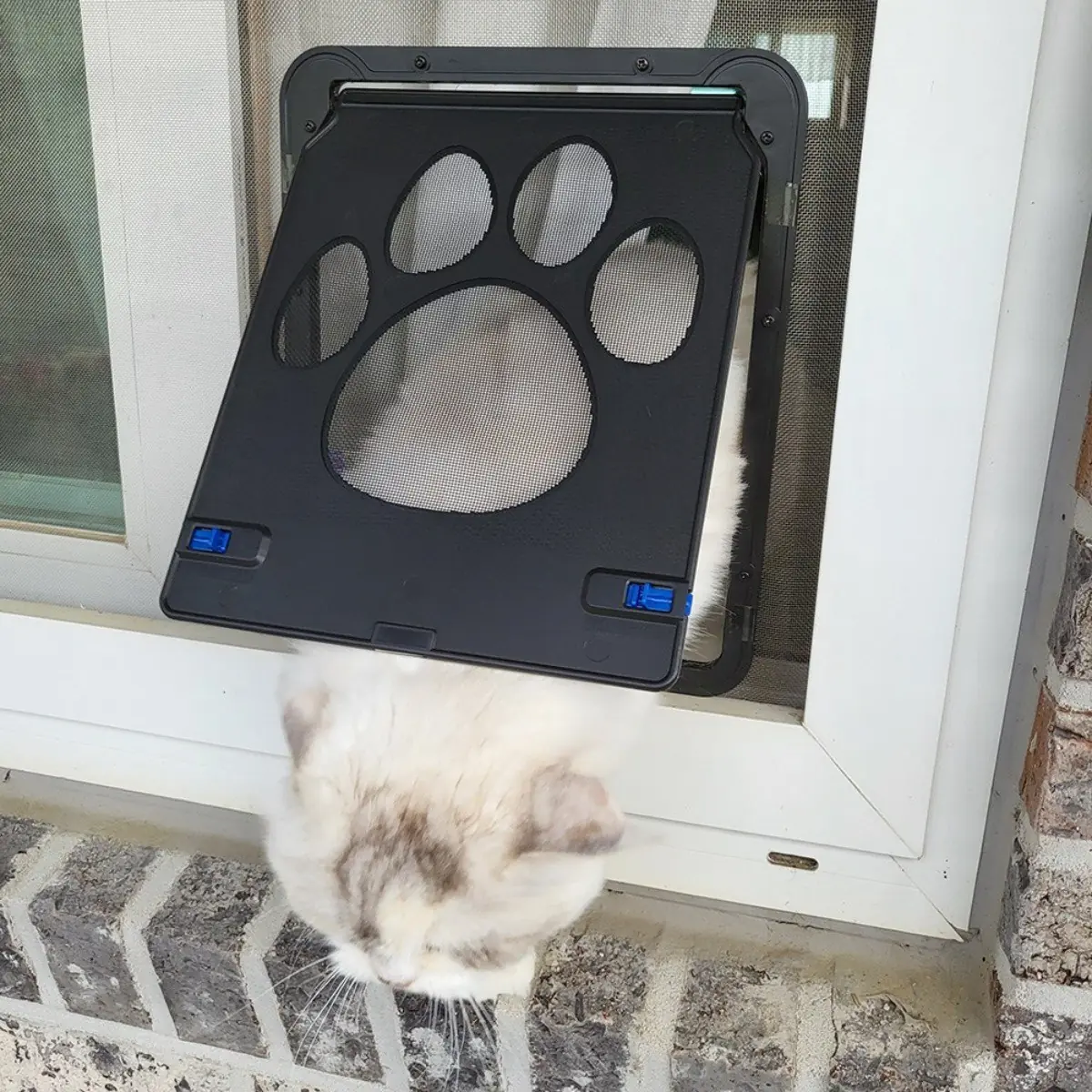 미우프 고양이 베란다 캣도어