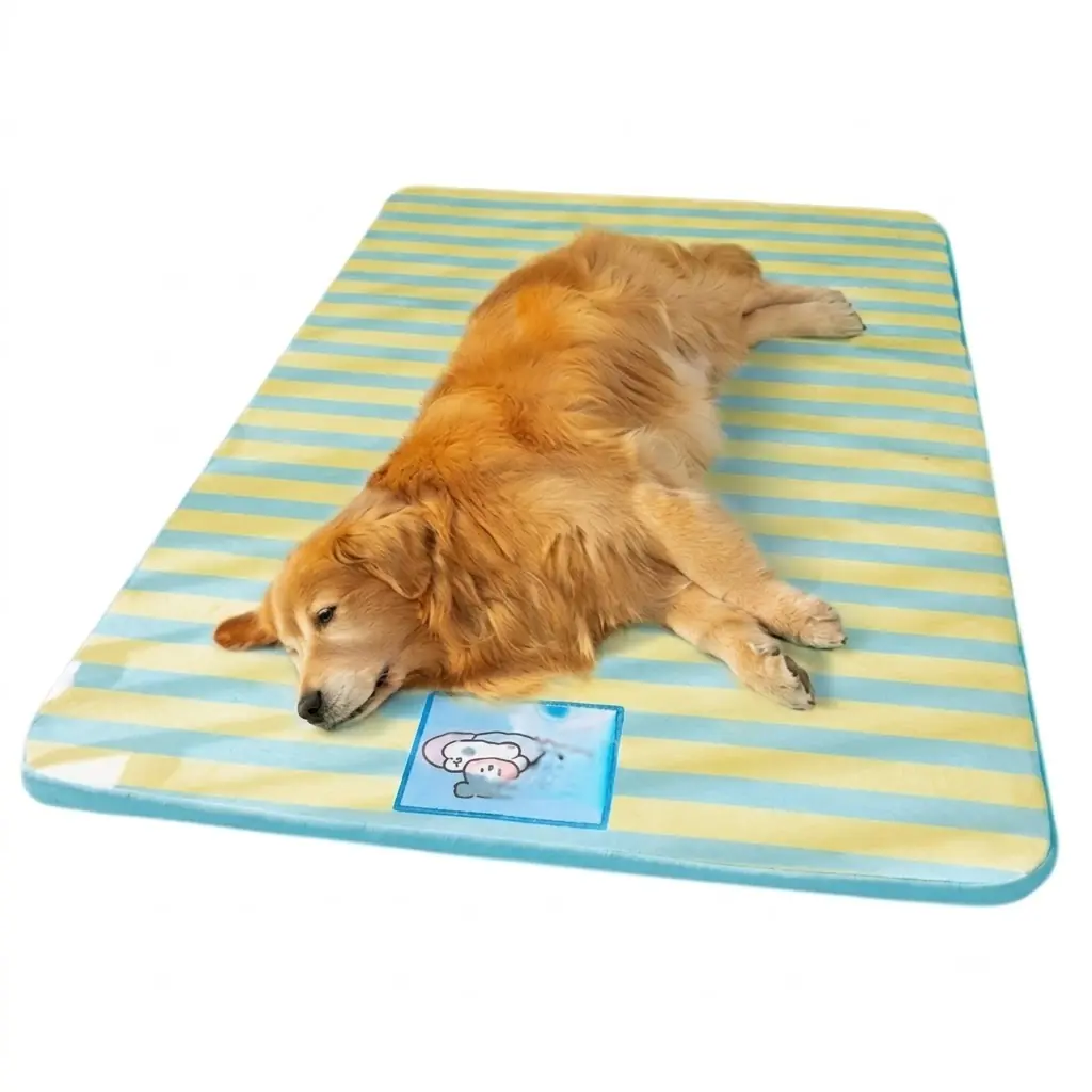 kangdarpet 강아지 쿨매트