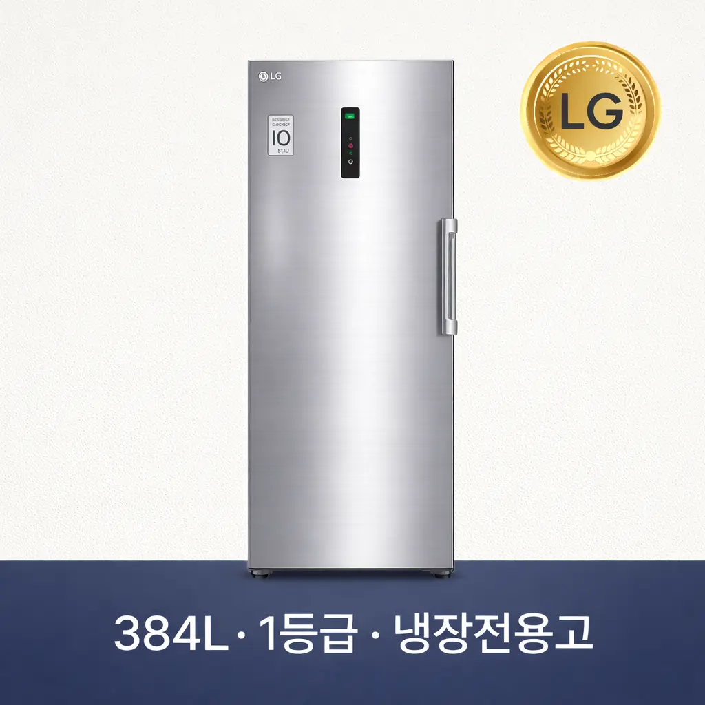 LG전자 컨버터블 384L 냉장고