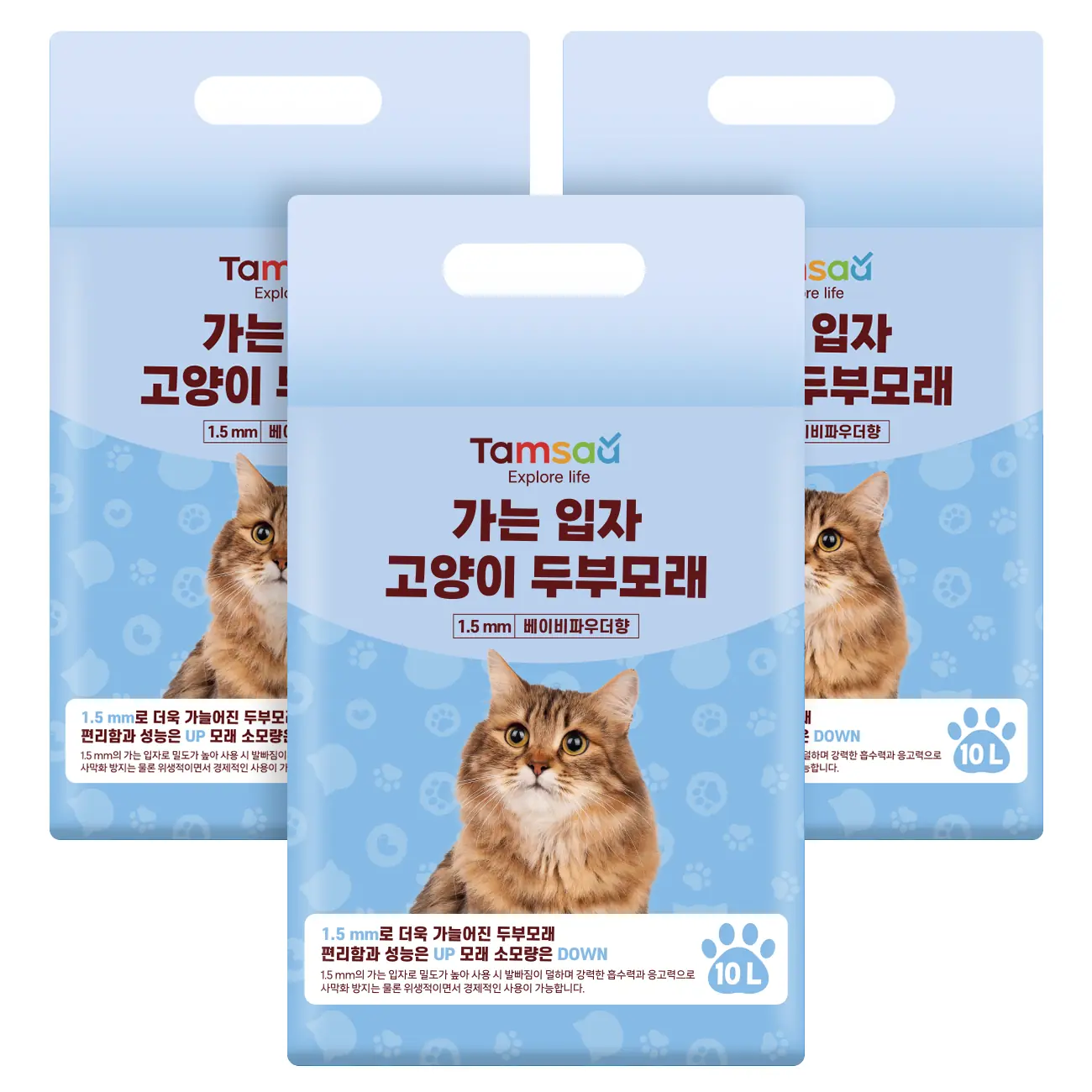 탐사 가는 입자 고양이 두부모래