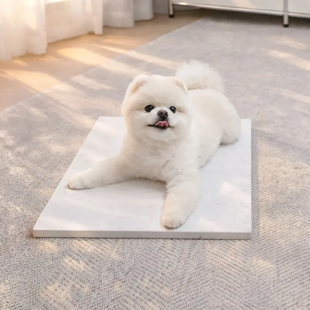 아미체볼레 강아지 쿨매트
