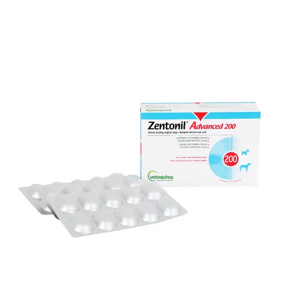 베토퀴놀 젠토닐 어드밴스 200mg
