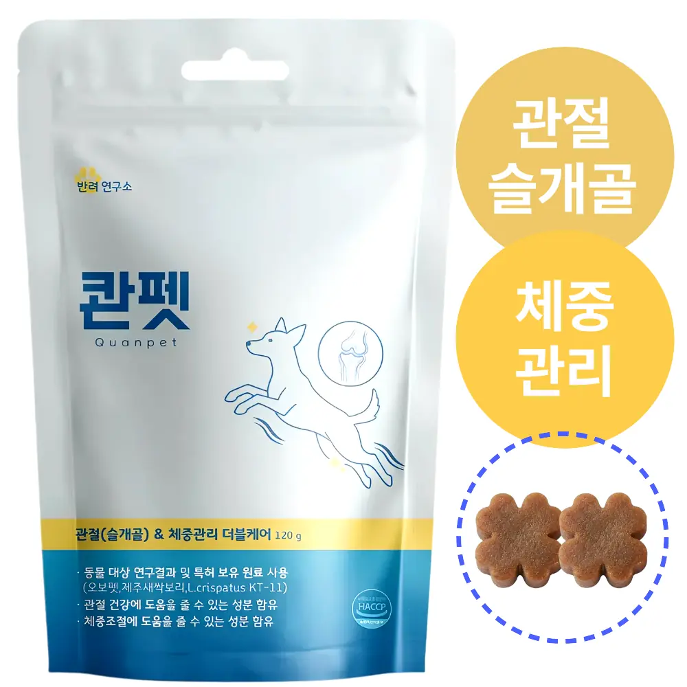 콴펫 강아지 관절 종합영양제
