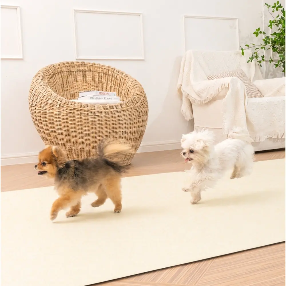 이리로 강아지 슬개골탈구예방