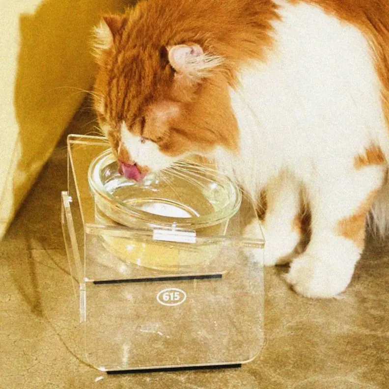 우다다맨숀 고양이 아크릴 식기