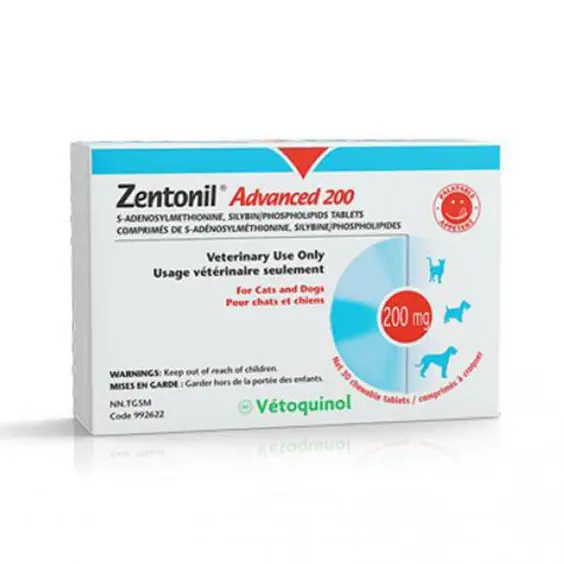베토퀴놀 젠토닐 어드밴스 200mg 2개