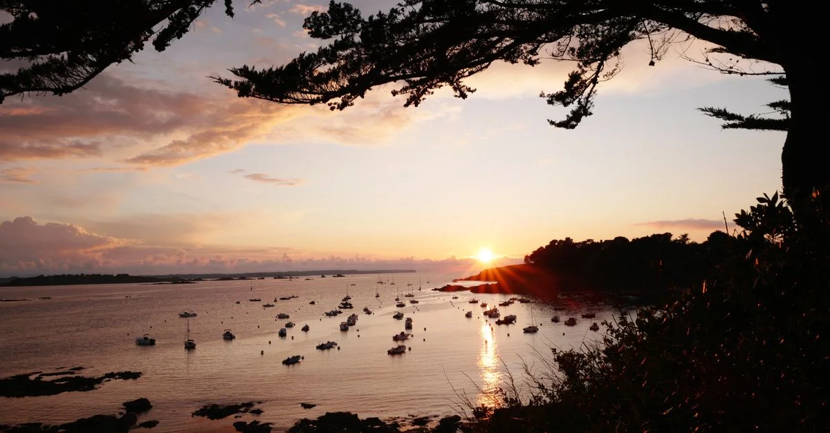 Navigating Île-de-France: A Practical Guide to Airport Transfers