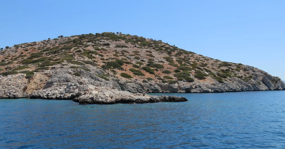 Best Cruise Tours in Μύκονος