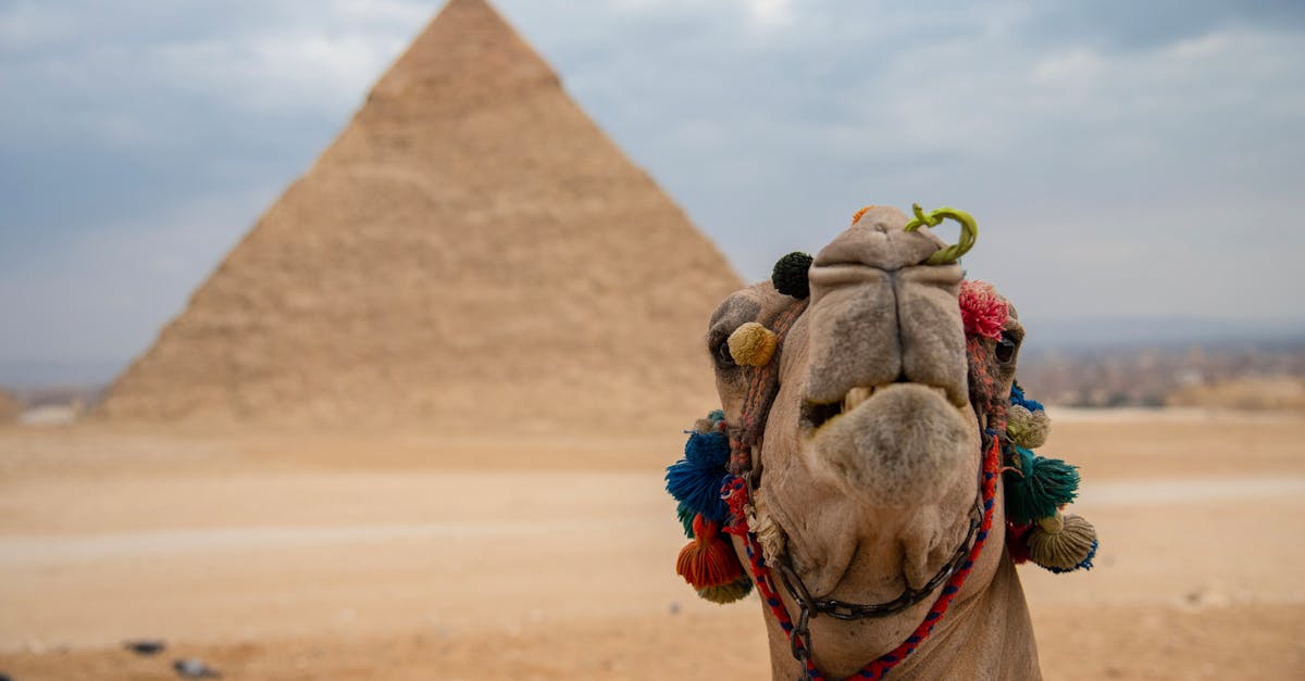 abdeen-adventure
