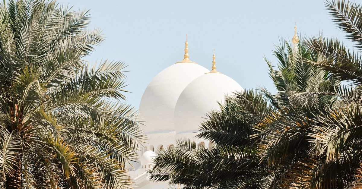 Abu Dhabi Airport and Hotel Transfer Guide: What You Need to Know