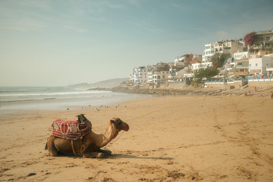 agadir-adventure