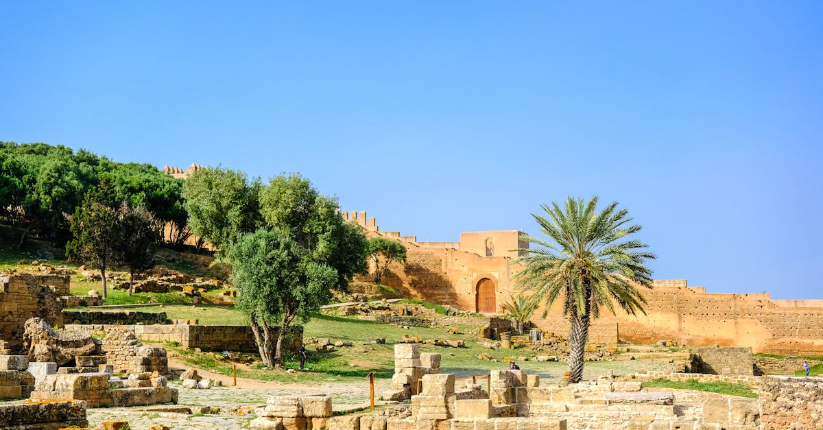 agadir-culture-tours