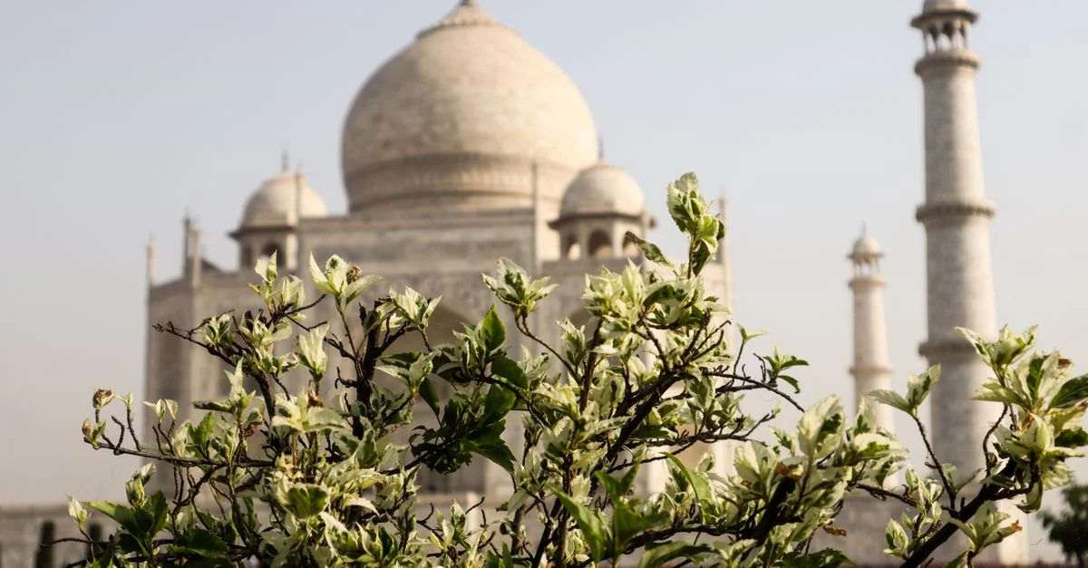 Exploring Agra: A Comprehensive Guide to City Tours and Sightseeing