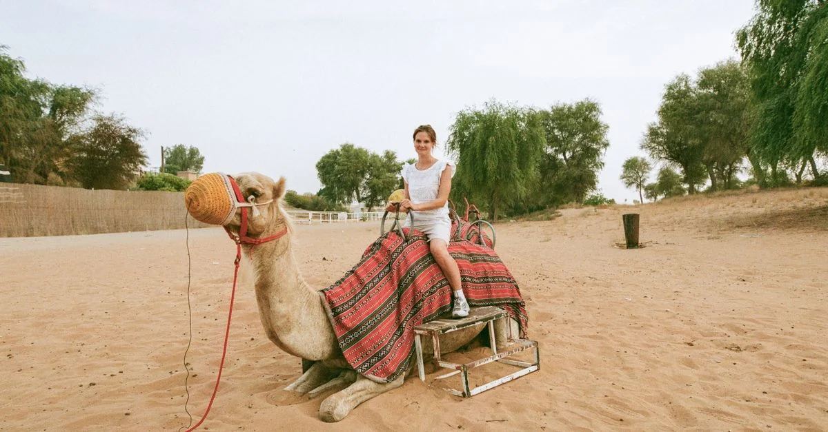 Al Haram Sightseeing: A Practical Guide to Tours and Exploration