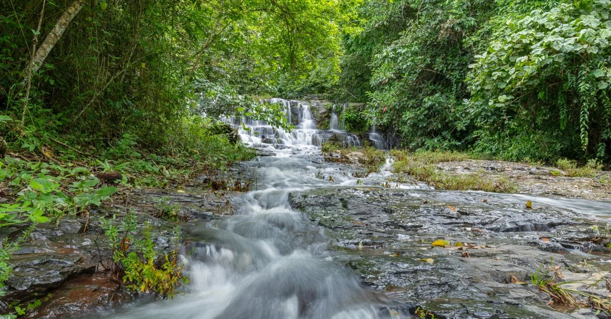 Alajuela Province Adventure Guide: Hiking and Wildlife Tours with Prices and Tips