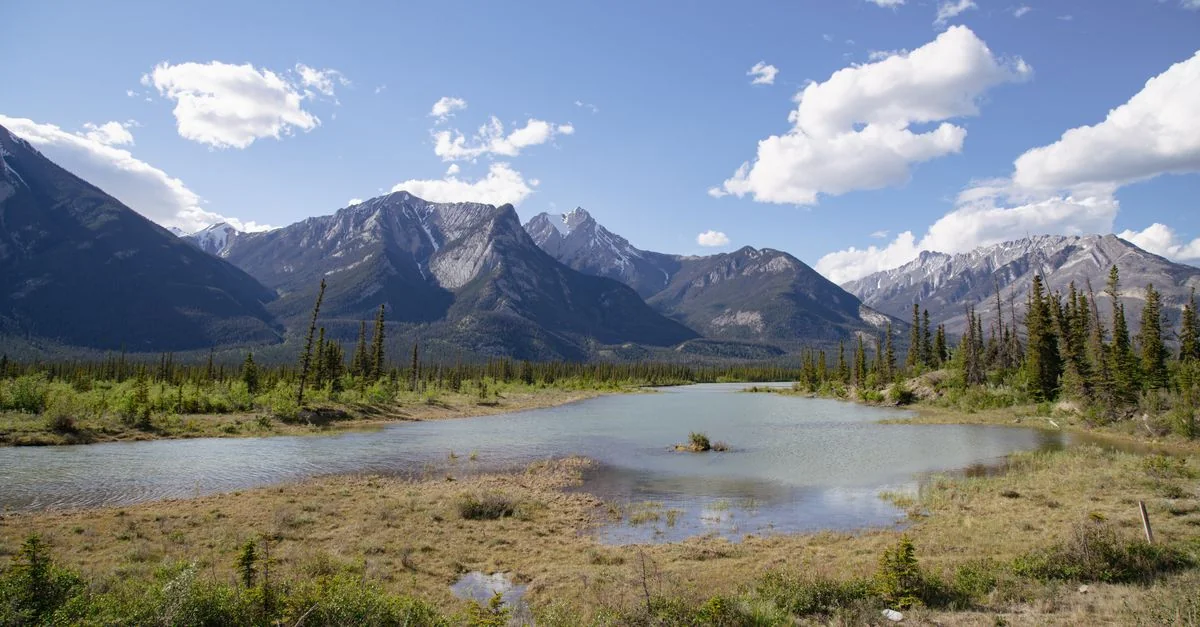 Alberta&rsquo;s Unspoken Canvas: A Guide to Street Art and Culture