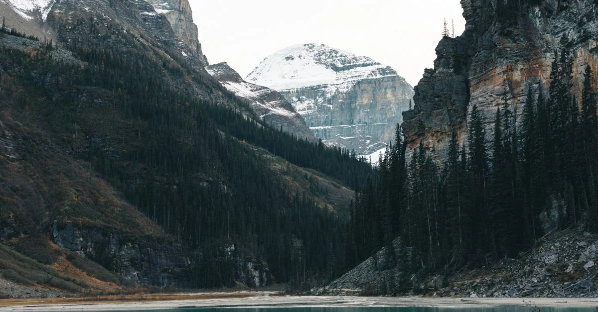 Alberta&rsquo;s Unspoken Canvas: A Guide to Street Art and Culture