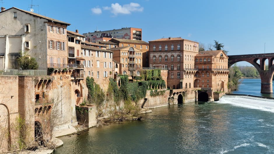 albi-to-toulouse-train