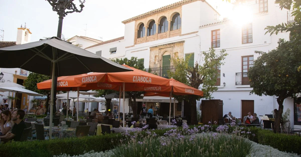 Journey from Alboraya to Madrid: A Complete Travel Route Guide