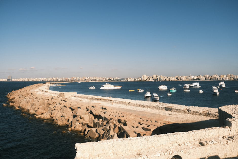 alexandria-culture-tours