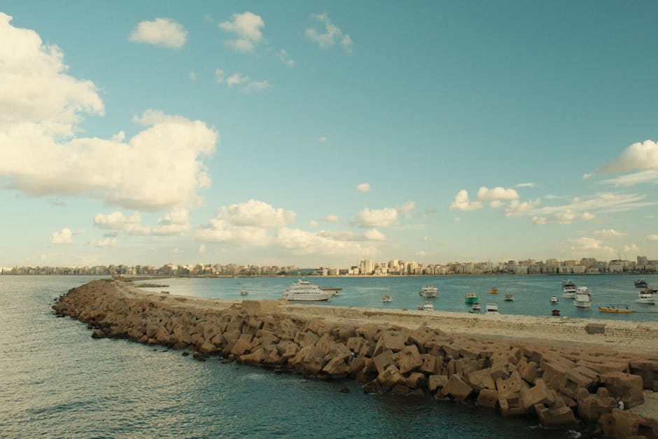 alexandria-day-trips