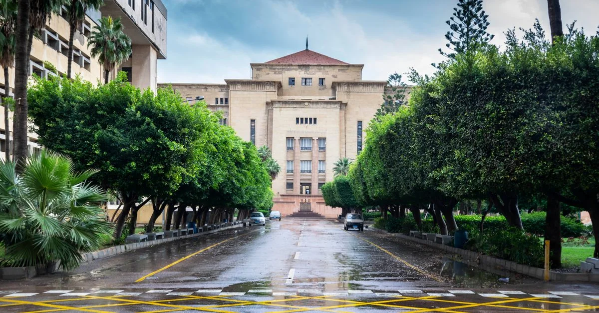 Alexandria Airport and Hotel Transfer Guide: Practical Transit Options