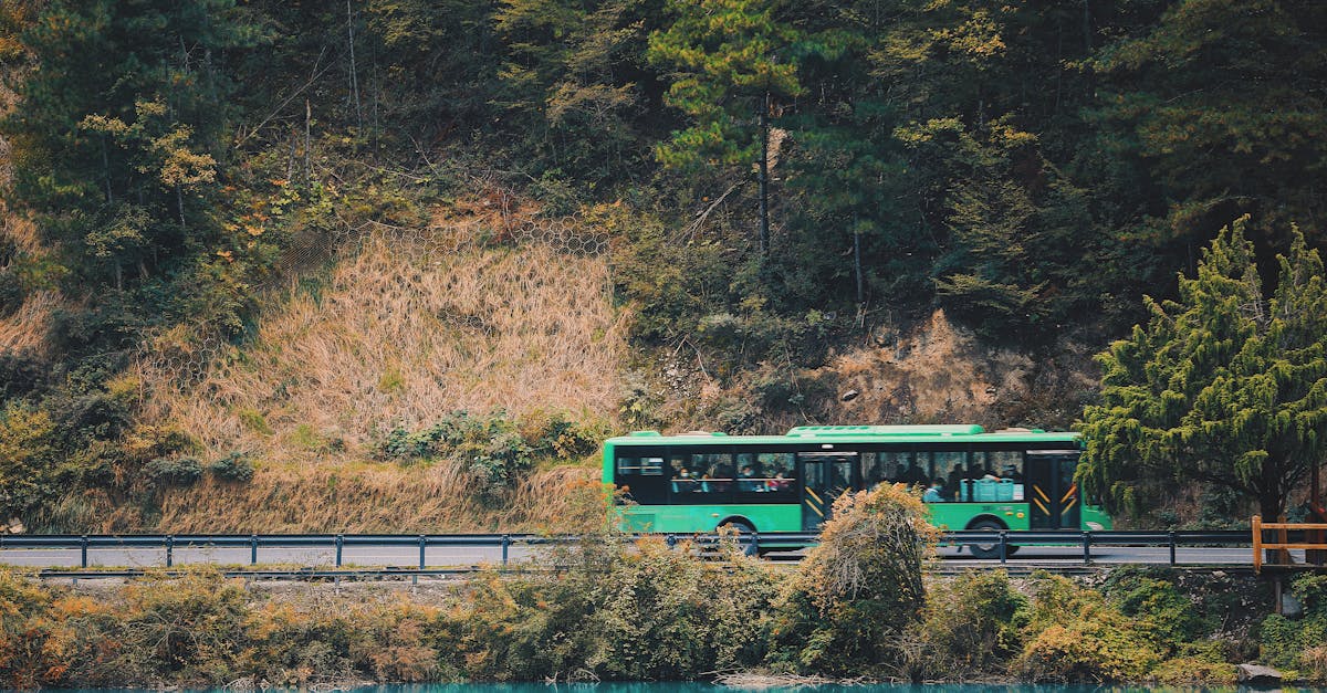 algeciras-to-seville-bus