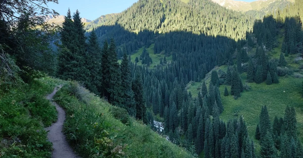 Almaty Adventure Guide: Hiking and Nature Tours with Prices and Tips