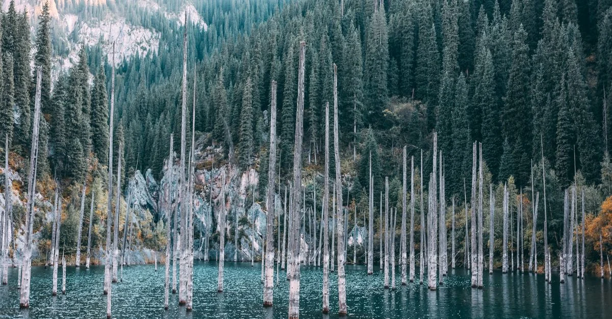 Almaty Multi-Day Tours: Explore Kazakhstan&rsquo;s Natural Wonders