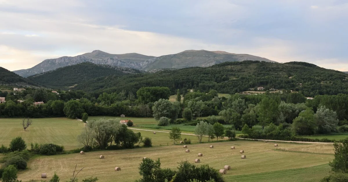 Navigating Alpes-Maritimes: A Guide to Local City Tours and Sightseeing