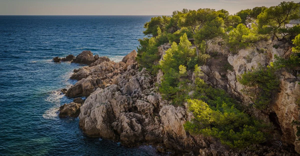 Navigating Alpes-Maritimes: A Guide to Local City Tours and Sightseeing