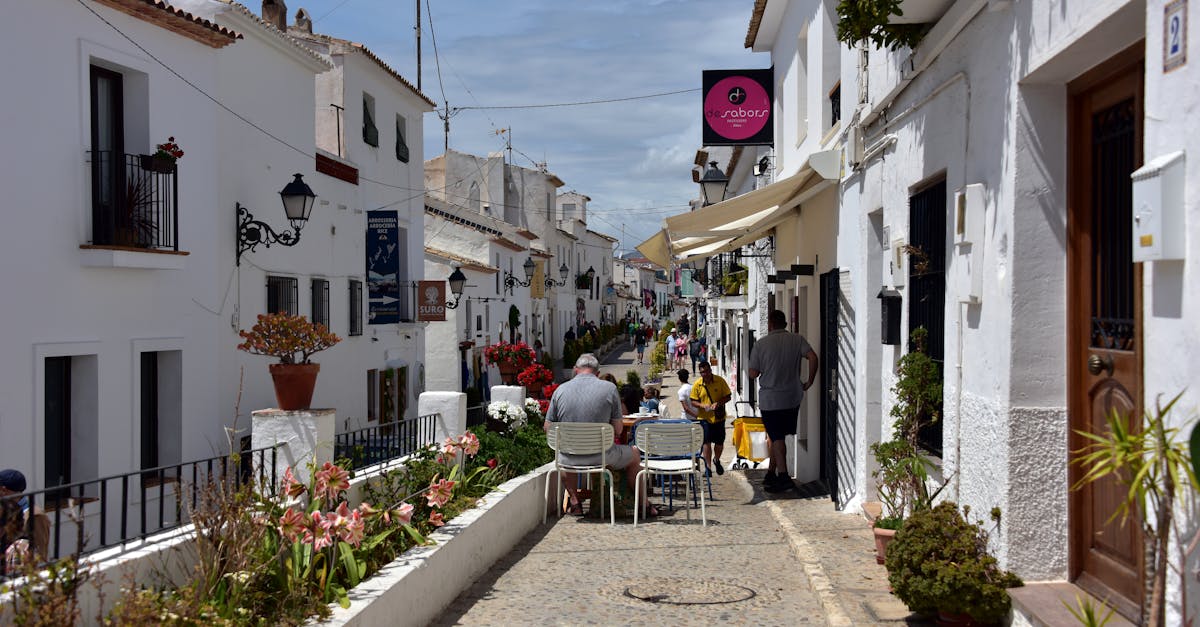 altea-to-madrid-train