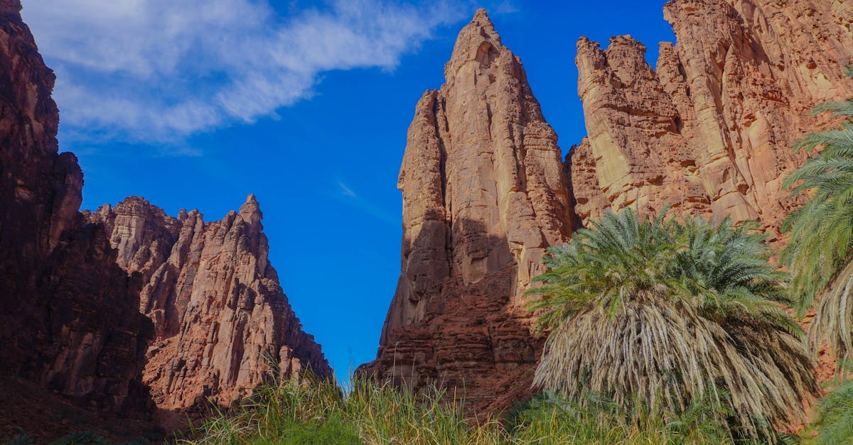 alula-multiday-tours