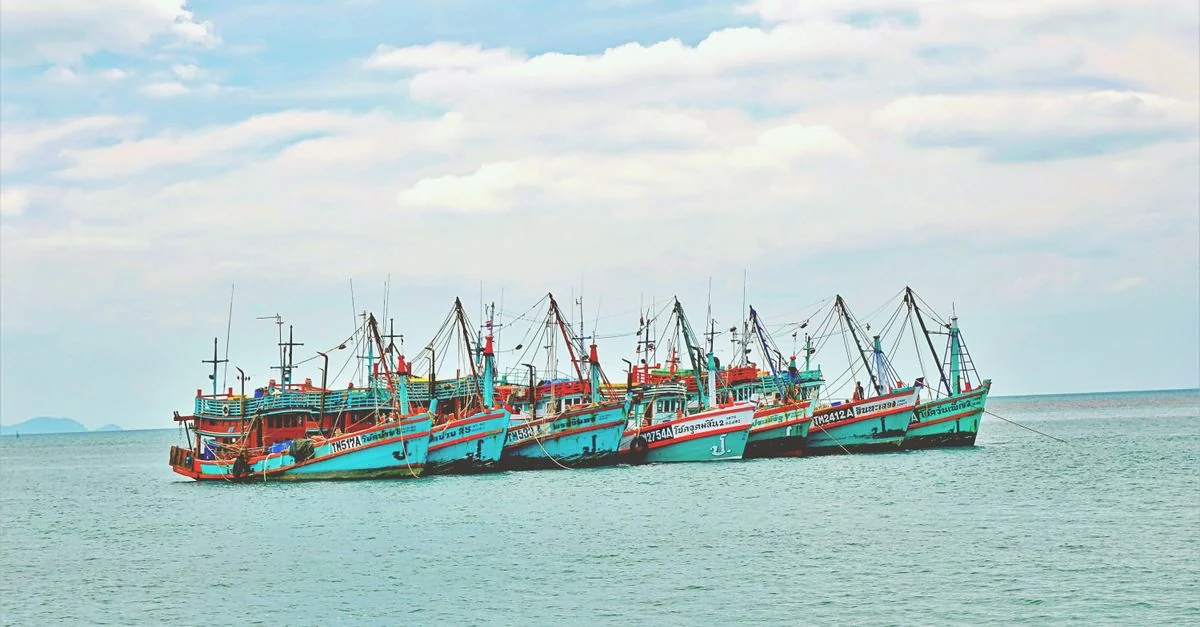 Best Cruise Tours in Amphoe Ko Samui