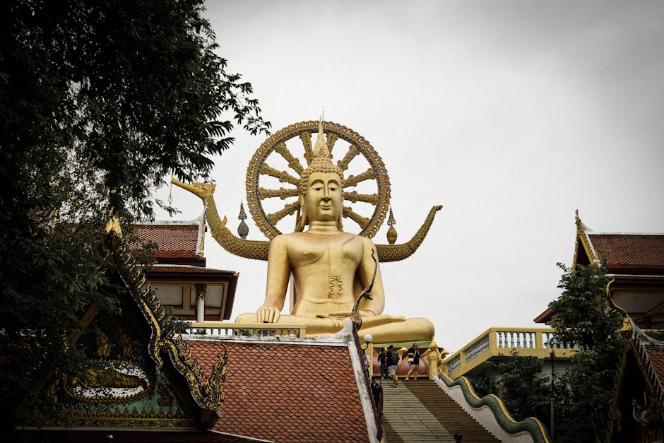 amphoe-ko-samui-extreme-tours