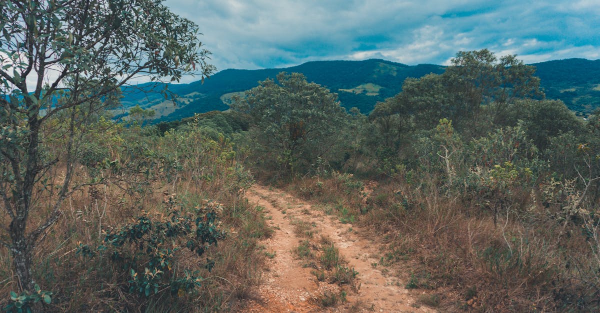 amphoe-mueang-chiang-mai-hiking-tours