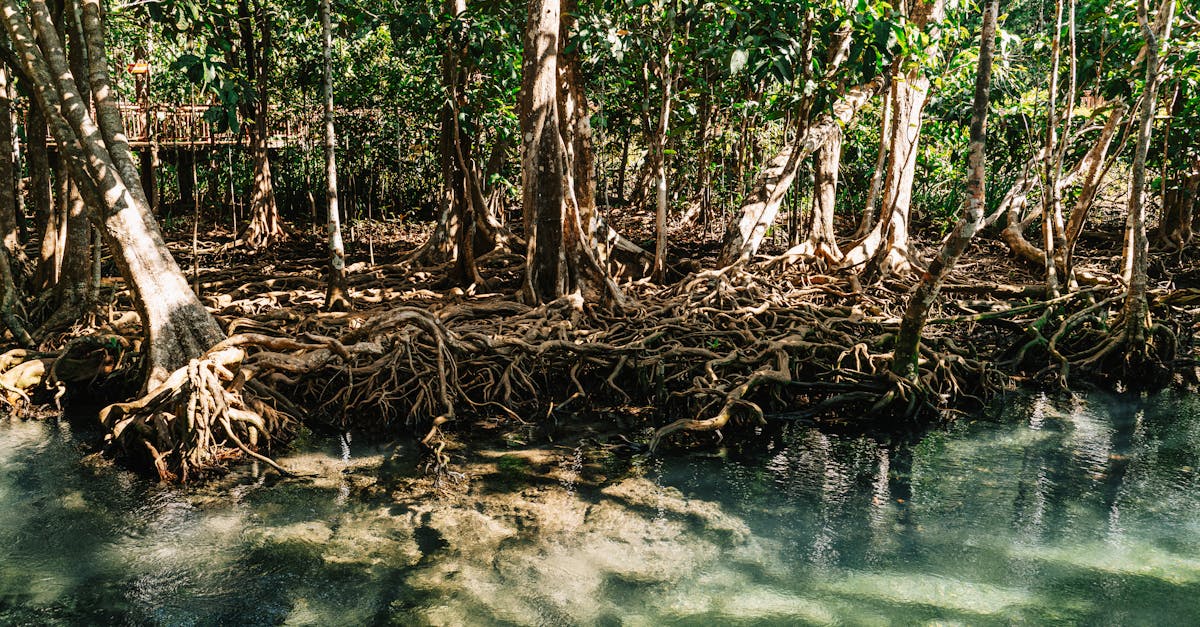 amphoe-mueang-krabi-day-trips