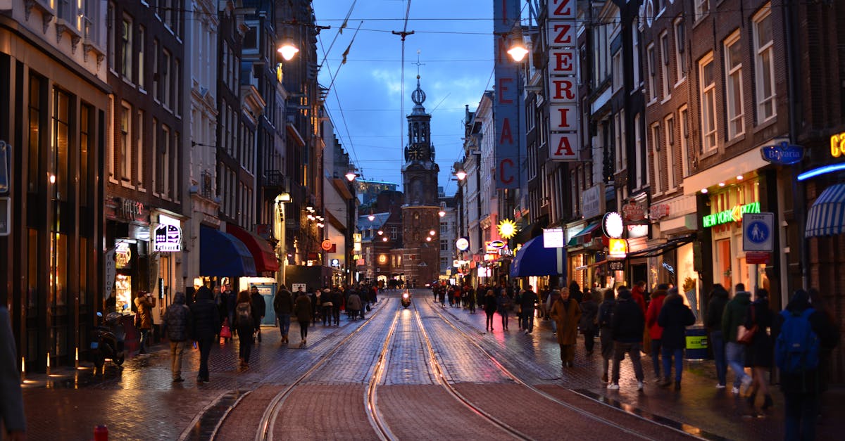 amsterdam-day-trips