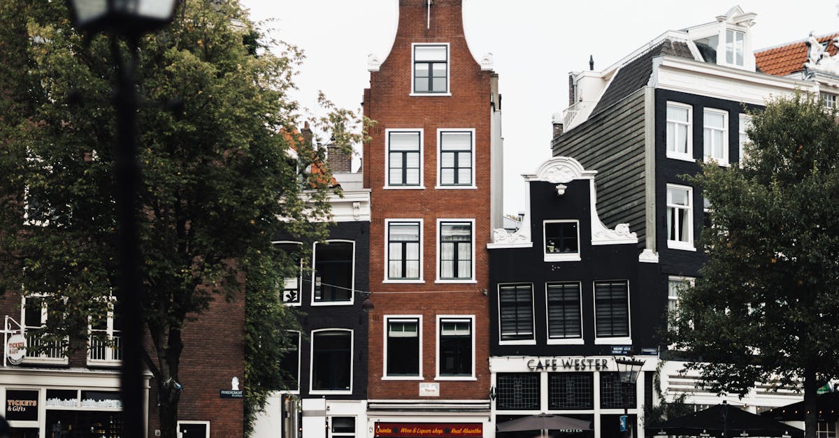 amsterdam-digital-nomad-guide