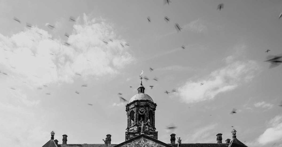 amsterdam-to-london