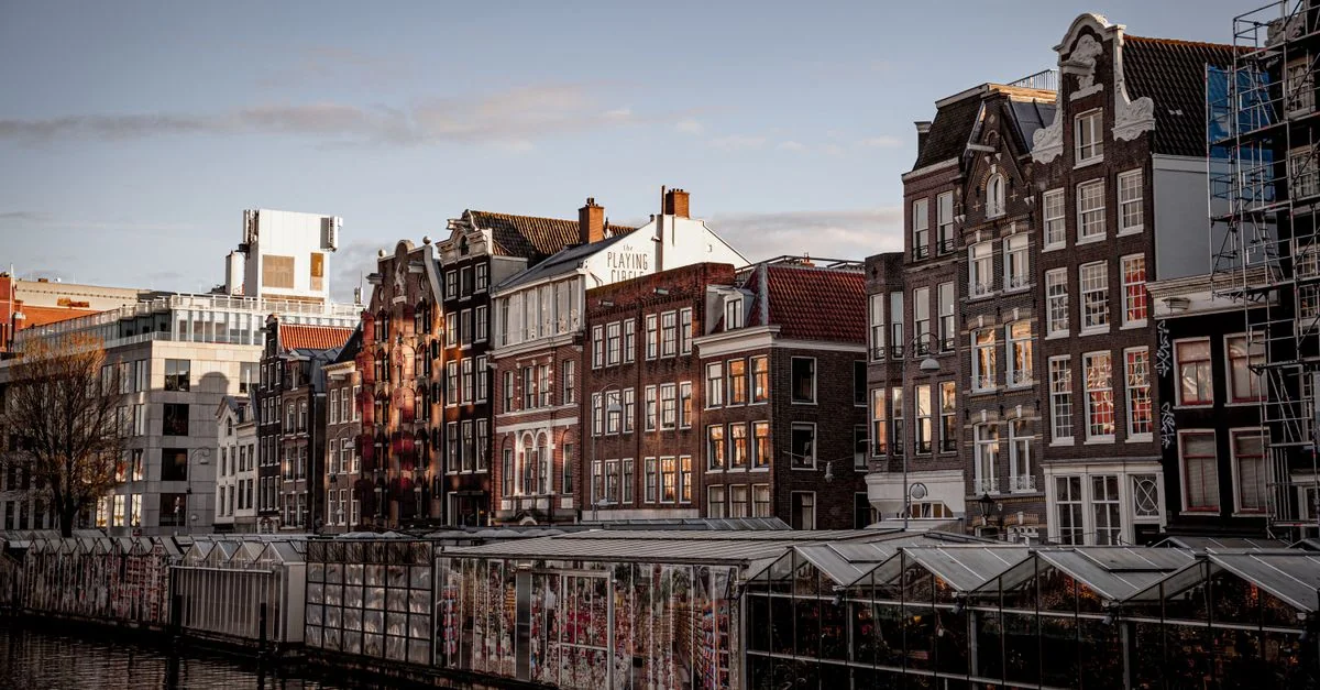 Best Shore Excursions in Amsterdam: Cruise Port Activities and Day Tours