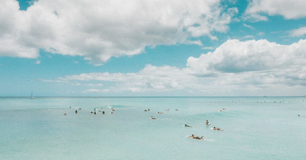 Best Photo Tours in Aruba