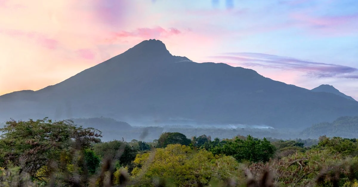 Arusha Mjini Multi-Day Tours: Explore Tanzania&rsquo;s Wilderness