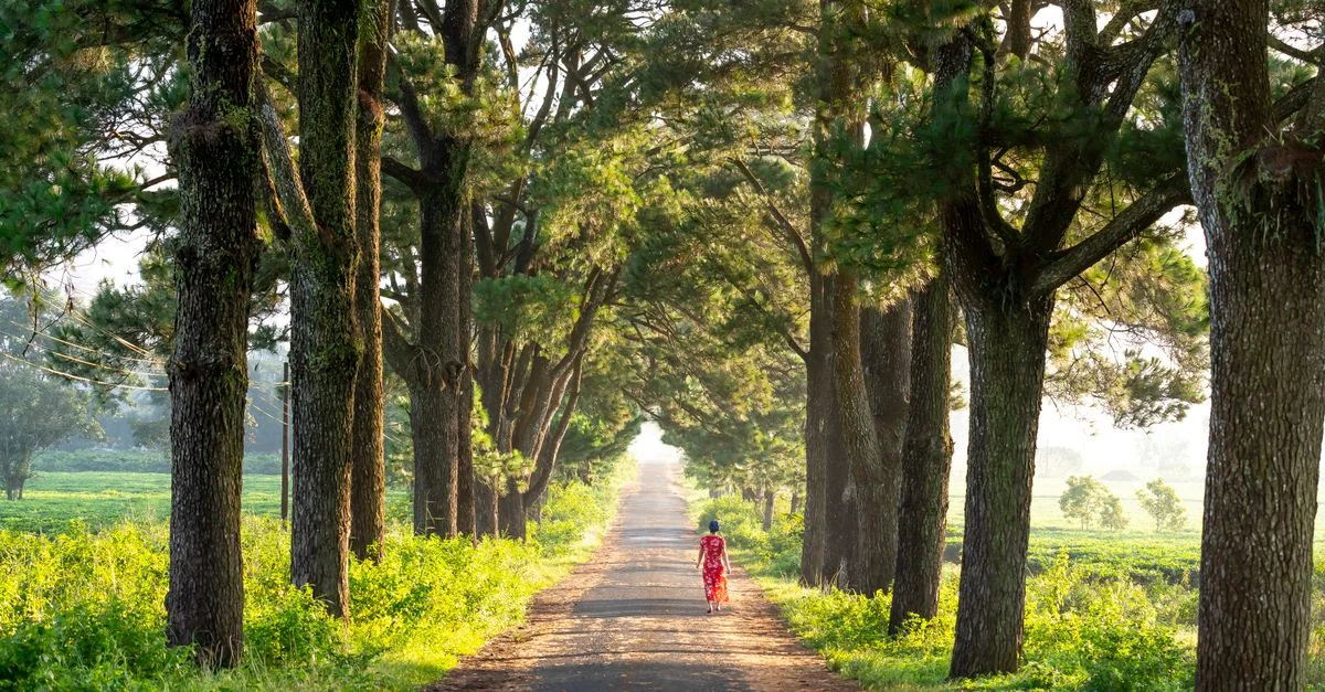 Arusha Mjini Multi-Day Tours: Explore Tanzania&rsquo;s Wilderness