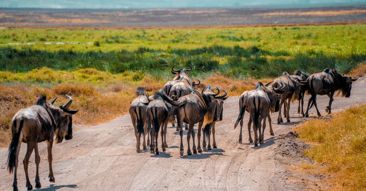 arusha-multiday-tours