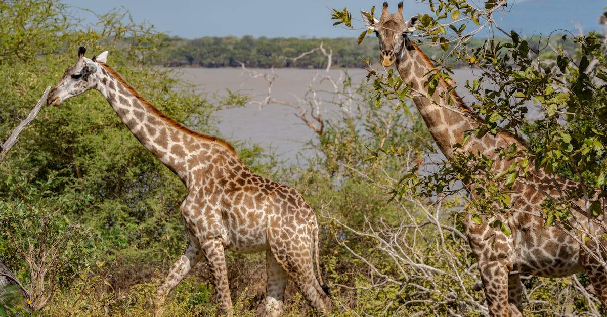 arusha-nature-tours