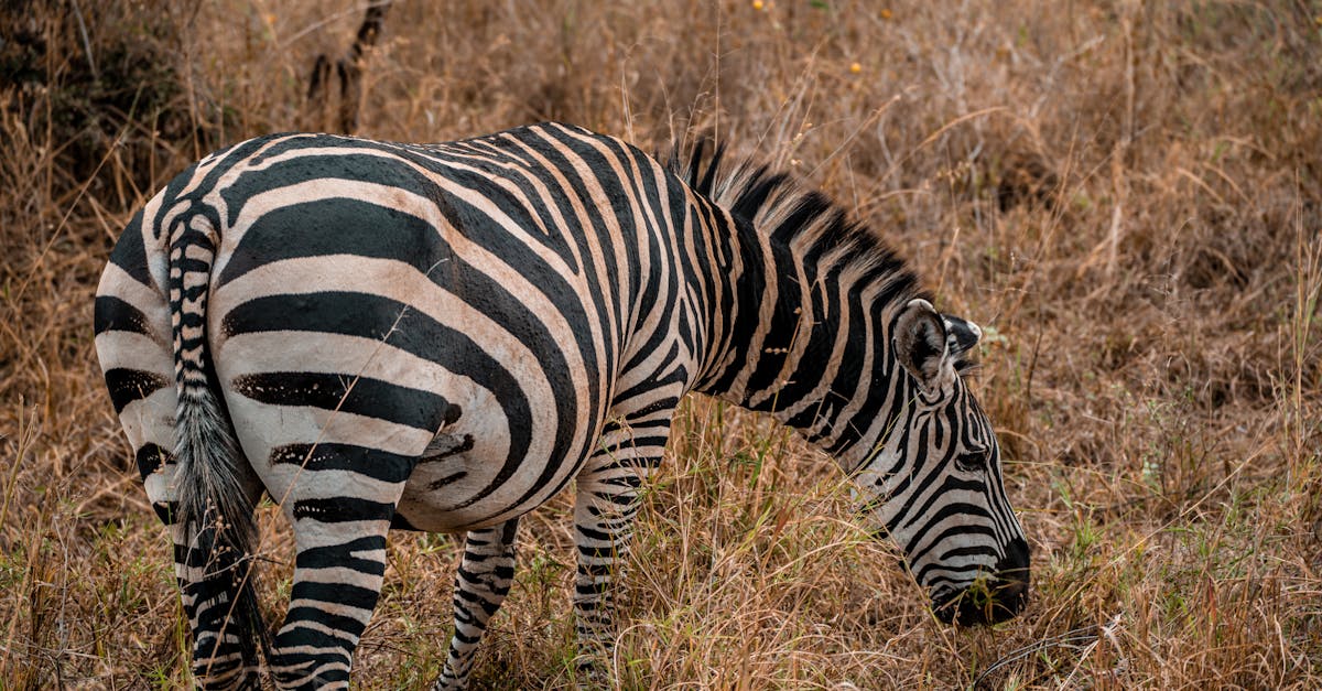 arusha-nature-tours