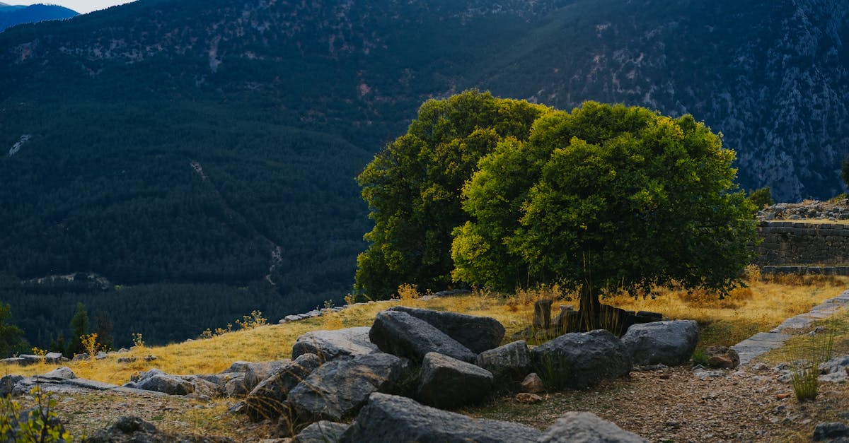 athina-nature-tours