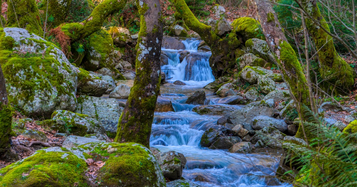 athina-nature-tours