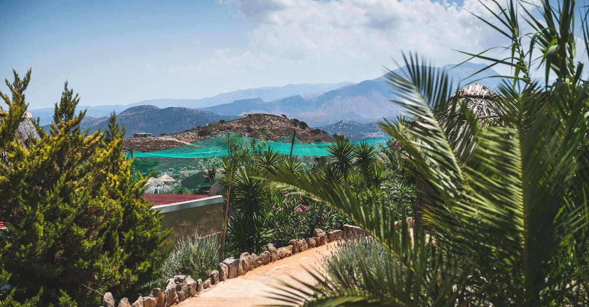 athina-nature-tours
